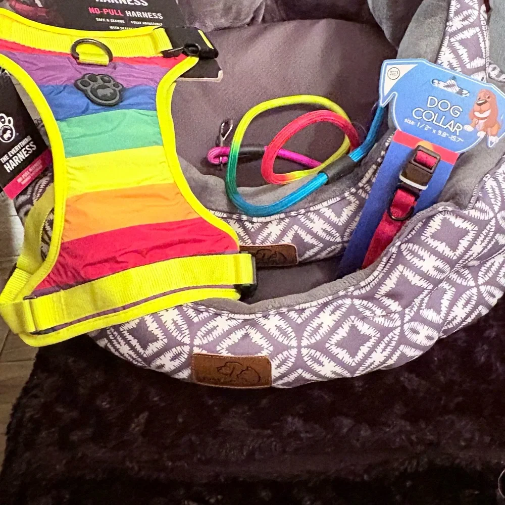Colorful Dog Harness and Gray Patterned Pet Bed Set